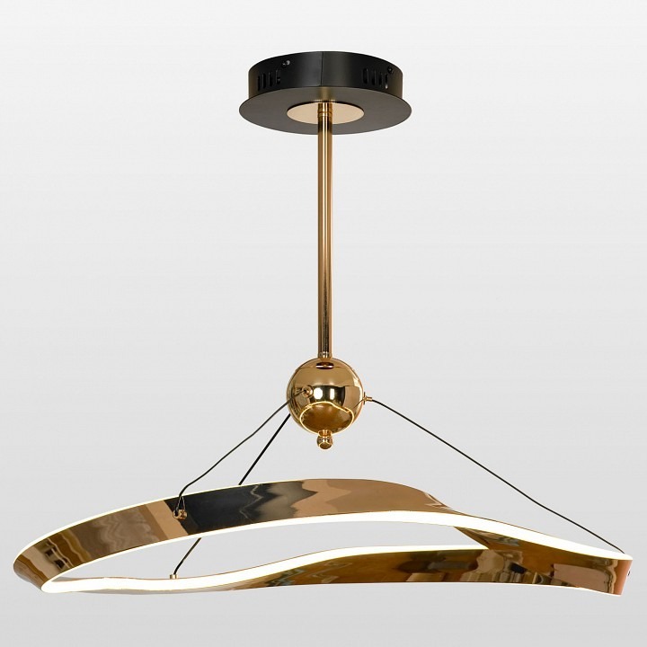 Фото Светильник на штанге Lussole Torrance LSP-7168 - интернет-магазин МегаТерем в Москве