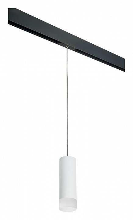 Фото Подвесной светильник Lightstar Rullo PRORP48631 LS_PRORP48631 - интернет-магазин МегаТерем в Москве