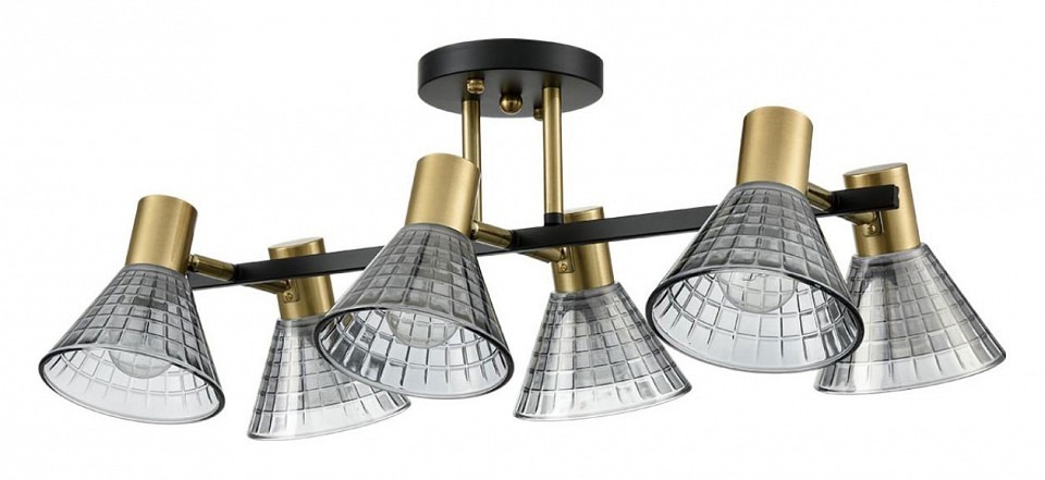 Фото Люстра на штанге Lumion Anriya 8044/6C LMN_8044_6C - интернет-магазин МегаТерем в Москве