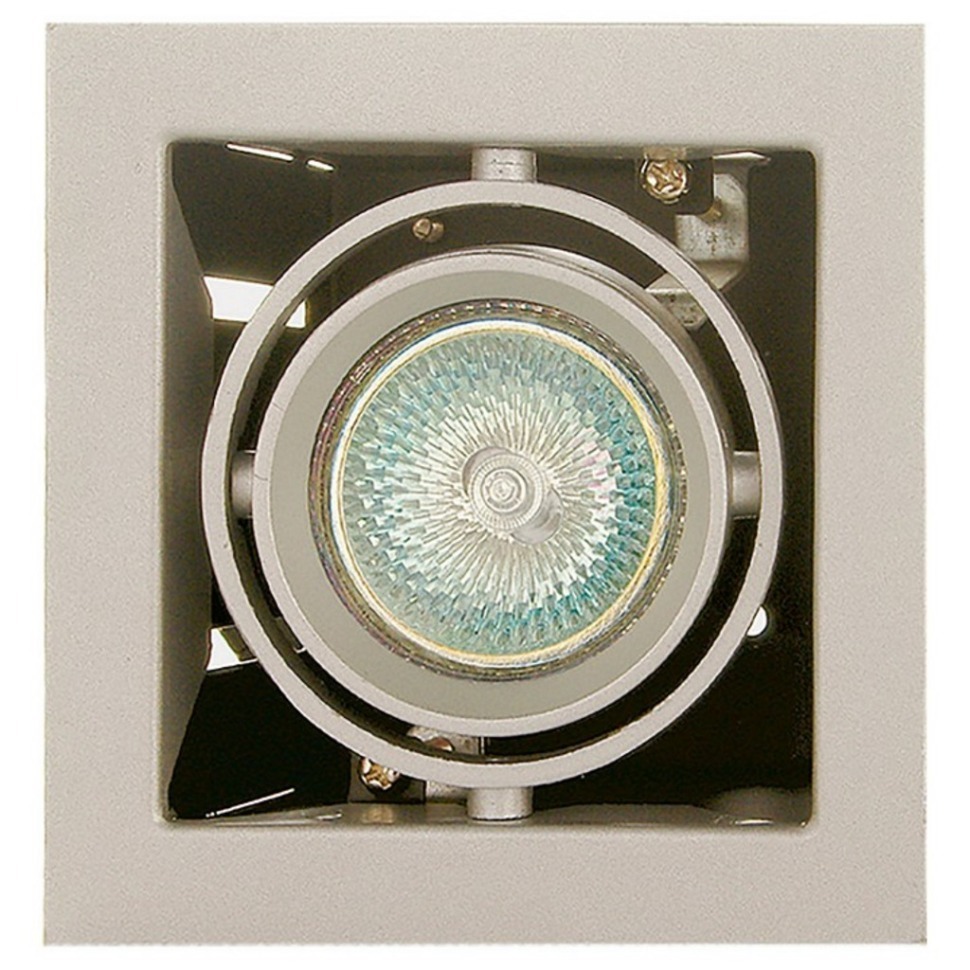 Фото Встраиваемый светильник Lightstar Cardano 214017 LS_214017 - интернет-магазин МегаТерем в Москве