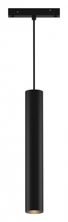 Фото Подвесной светильник Wertmark WTG WTG.O11.606.30.10 - интернет-магазин МегаТерем в Москве