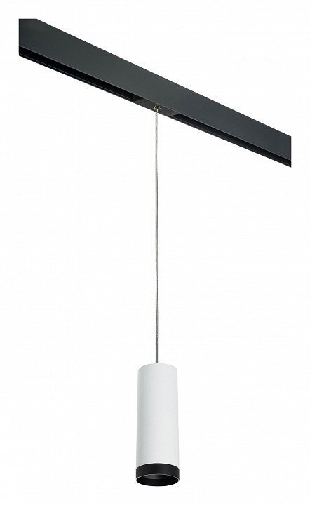 Фото Подвесной светильник Lightstar Rullo PRORP4863437 LS_PRORP4863437 - интернет-магазин МегаТерем в Москве