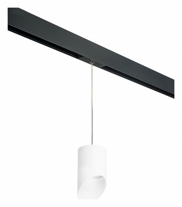 Фото Подвесной светильник Lightstar Rullo PRORP348686 LS_PRORP348686 - интернет-магазин МегаТерем в Москве