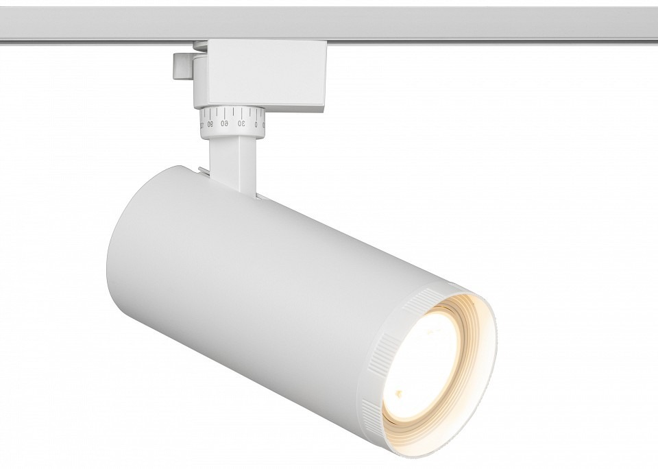 Фото Светильник на штанге Эра  TR59 - 3030 WH ER_B0054445 - интернет-магазин МегаТерем в Москве