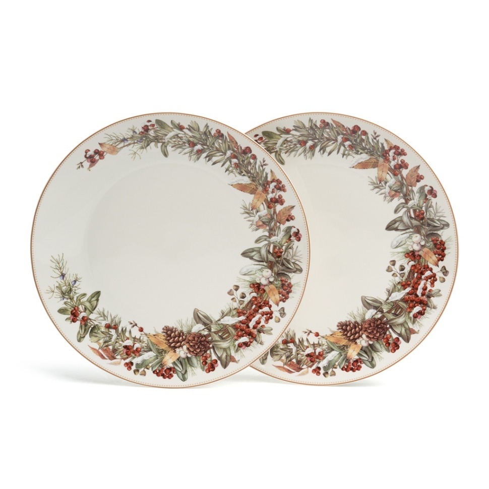 Фото Набор тарелок обеденных lefard морозко 2 шт. 27 см (85-2039-1)  - интернет-магазин МегаТерем в Москве