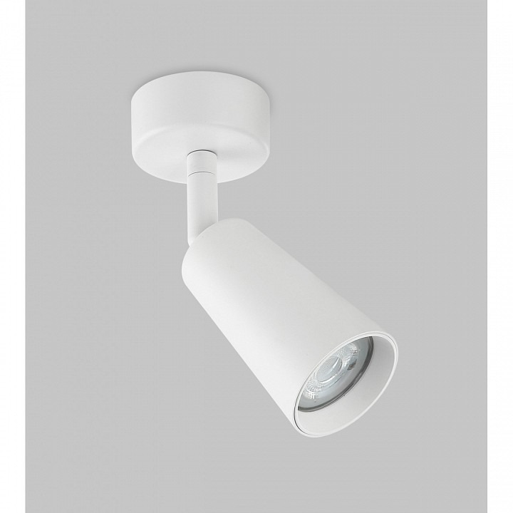 Фото Спот Imex DALS GU10 IL.0005.4901-WH IMX_IL.0005.4901-WH - интернет-магазин МегаТерем в Москве