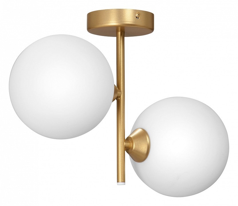 Фото Светильник на штанге Vitaluce  V2935-8/2PL VI_V2935-8_2PL - интернет-магазин МегаТерем в Москве