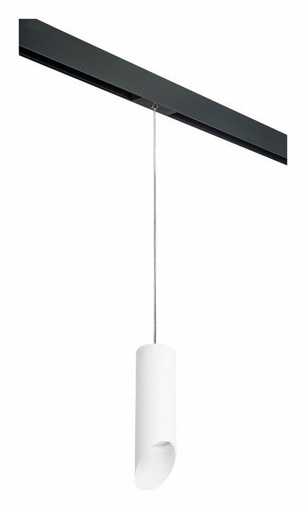 Фото Подвесной светильник Lightstar Rullo PRORP48636 LS_PRORP48636 - интернет-магазин МегаТерем в Москве