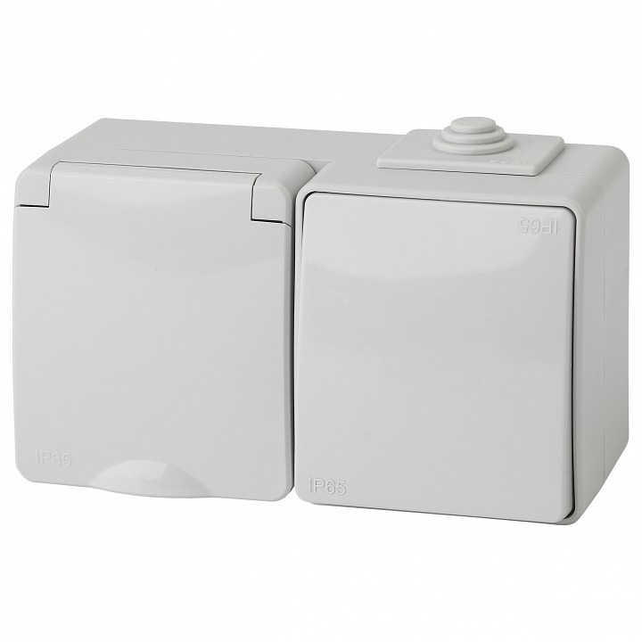 Фото Блок с розеткой и выключателем Эра Эра Эксперт 11-7601-03 ER_B0035993 - интернет-магазин МегаТерем в Москве