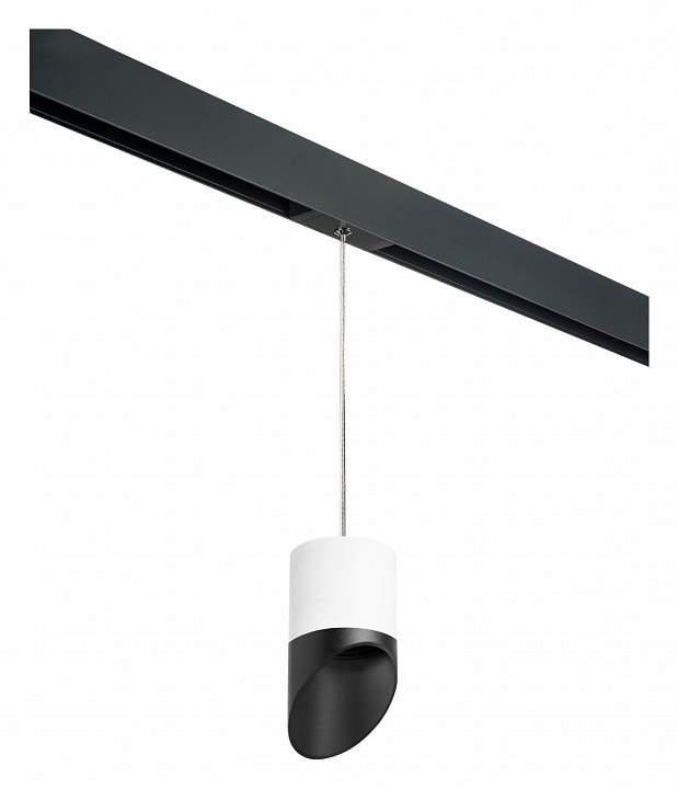 Фото Подвесной светильник Lightstar Rullo PRORP348687 LS_PRORP348687 - интернет-магазин МегаТерем в Москве