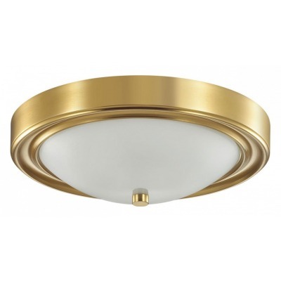 Накладной светильник Lumion Nina 5259/2C LMN_5259_2C