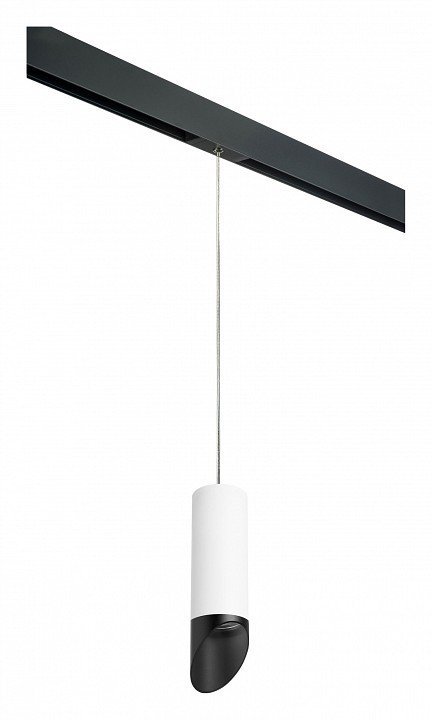 Фото Подвесной светильник Lightstar Rullo PRORP48637 LS_PRORP48637 - интернет-магазин МегаТерем в Москве