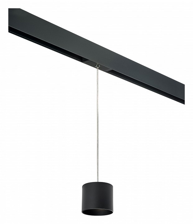 Фото Подвесной светильник Lightstar Rullo PRORP3487 LS_PRORP3487 - интернет-магазин МегаТерем в Москве