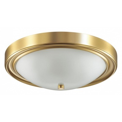 Накладной светильник Lumion Nina 5259/3C LMN_5259_3C