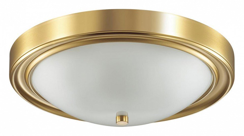 Фото Накладной светильник Lumion Nina 5259/3C LMN_5259_3C - интернет-магазин МегаТерем в Москве