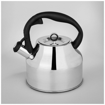 Чайник agness со свистком, 2,8 л, индукция (916-420) 
