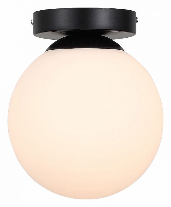 Фото Накладной светильник EVOLUCE Acini SL717.401.01 EVO_SL717.401.01 - интернет-магазин МегаТерем в Москве