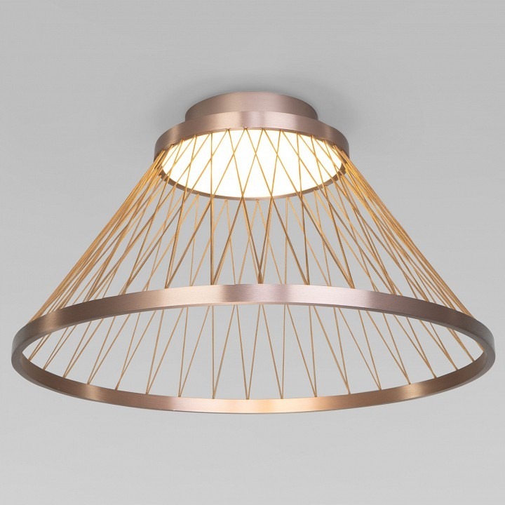 Фото Накладной светильник Eurosvet Cesta 40019/1 LED коричневый EV_a069291 - интернет-магазин МегаТерем в Москве