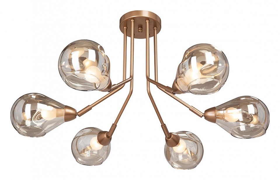 Фото Потолочная люстра Vitaluce V4870 V4870-8/6PL VI_V4870-8_6PL - интернет-магазин МегаТерем в Москве