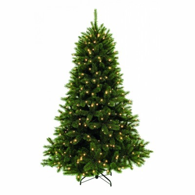 Триумф ель лесная красавица...