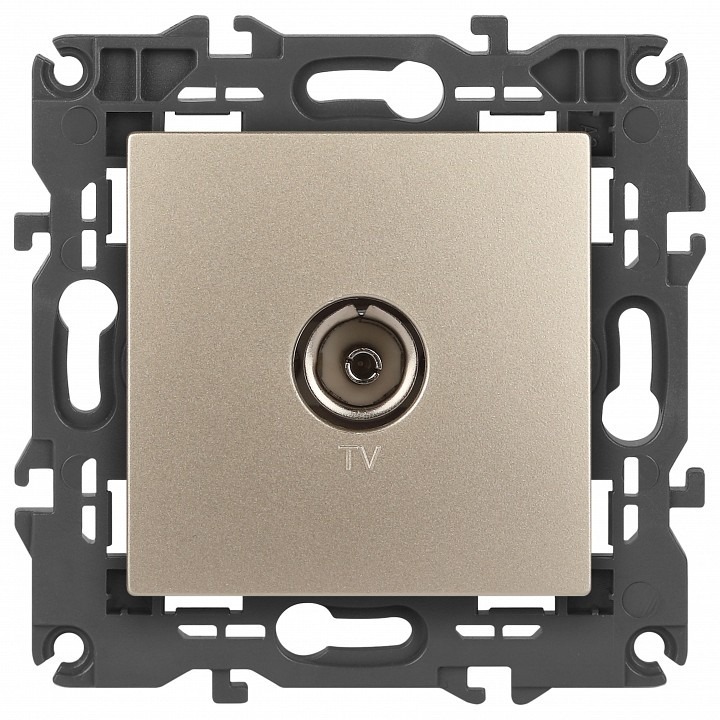 Фото ТВ-розетка без рамки Эра Эра Elegance 14-3101-04 ER_B0034293 - интернет-магазин МегаТерем в Москве