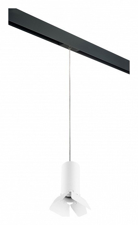 Фото Подвесной светильник Lightstar Rullo PRORP486436 LS_PRORP486436 - интернет-магазин МегаТерем в Москве