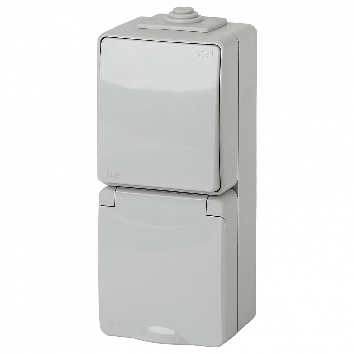 Фото Блок с розеткой и выключателем Эра Эра Эксперт 11-7607-03 ER_B0035998 - интернет-магазин МегаТерем в Москве