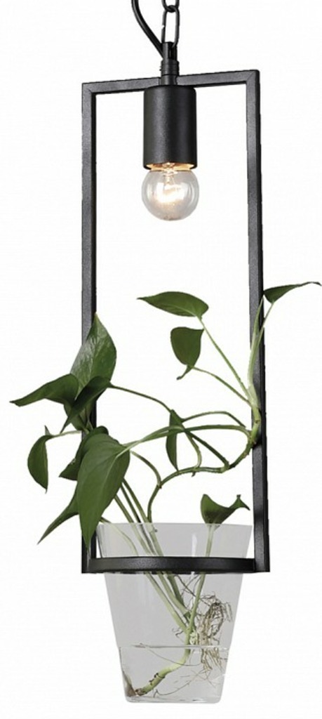 Фото Подвесной светильник Favourite Situla 1976-1P FV_1976-1P - интернет-магазин МегаТерем в Москве