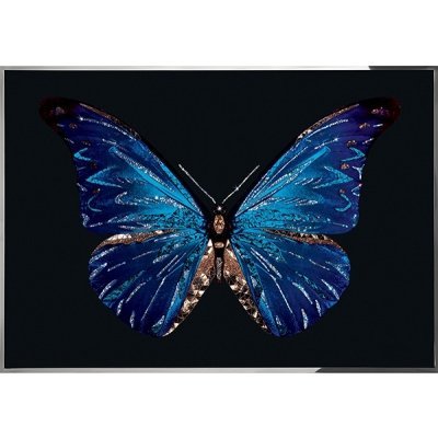 Картина Синяя бабочка с кри...