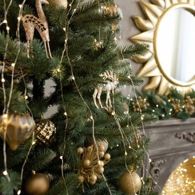 Занавес световой Eurosvet Роса 200-004 теплый белый EV_a056047