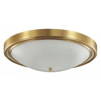 Накладной светильник Lumion Nina 5259/4C LMN_5259_4C