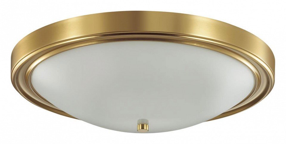 Фото Накладной светильник Lumion Nina 5259/4C LMN_5259_4C - интернет-магазин МегаТерем в Москве