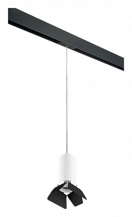 Фото Подвесной светильник Lightstar Rullo PRORP486437 LS_PRORP486437 - интернет-магазин МегаТерем в Москве