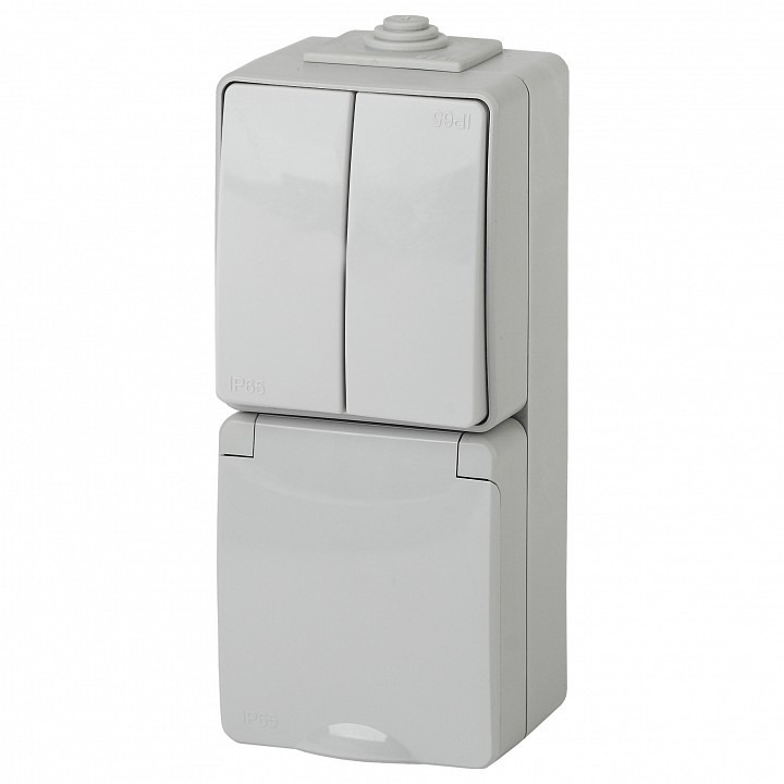 Фото Блок с розеткой и выключателем Эра Эра Эксперт 11-7608-03 ER_B0035999 - интернет-магазин МегаТерем в Москве