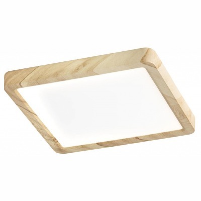 Накладной светильник Citilu...