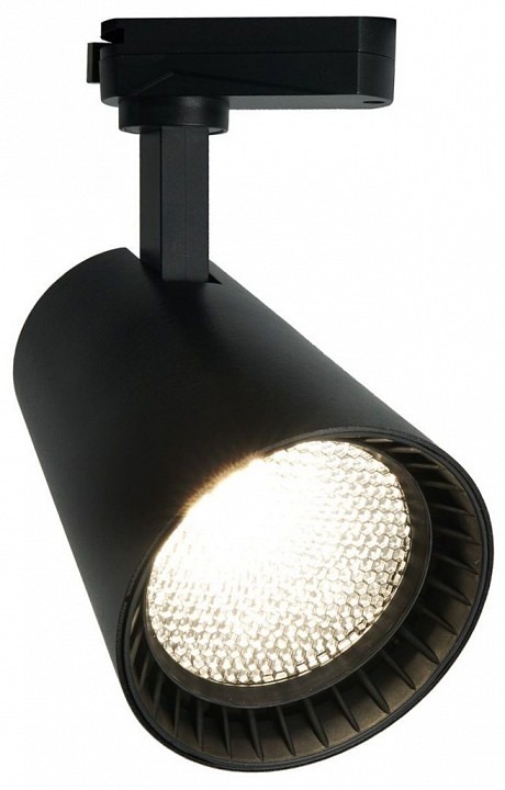 Фото Светильник на штанге Feron AL100 41608 FE_41608 - интернет-магазин МегаТерем в Москве