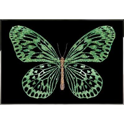 Картина Зеленая бабочка с к...