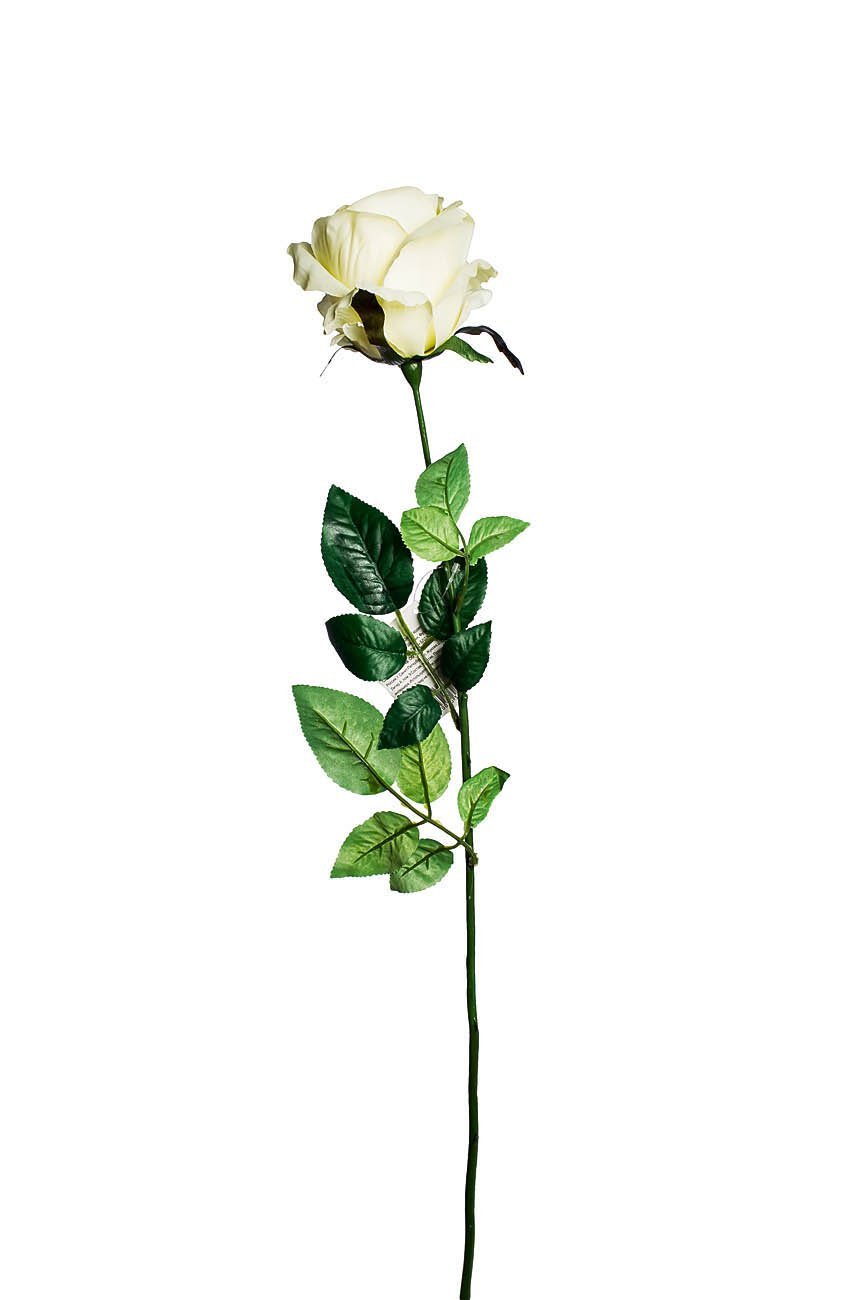 Средняя цена одной розы. Розы на длинной ножке.
