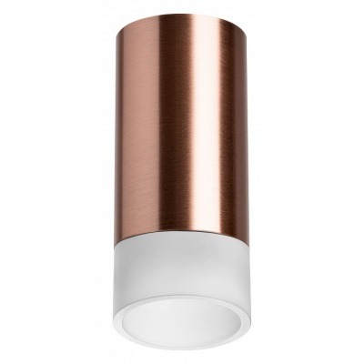 Накладной светильник Lightstar Rullo R43031 LS_R43031