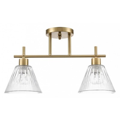 Светильник на штанге Lumion Vivian 8188/2C LMN_8188_2C