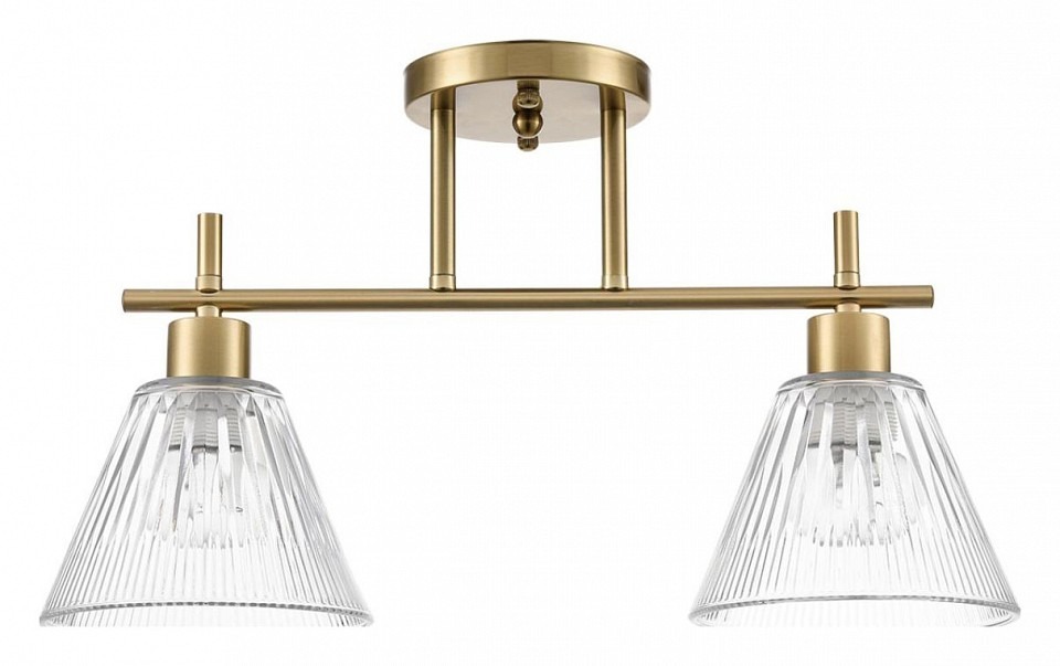 Фото Светильник на штанге Lumion Vivian 8188/2C LMN_8188_2C - интернет-магазин МегаТерем в Москве