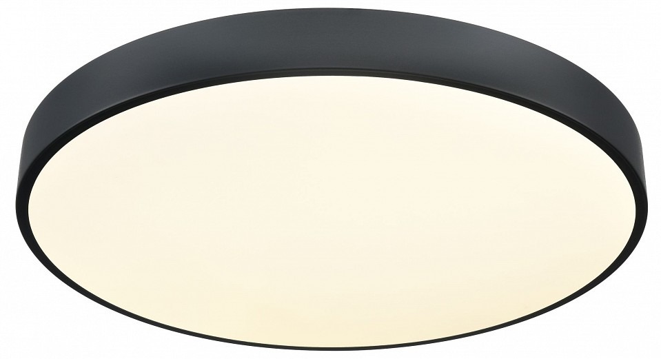 Фото Накладной светильник Velante  444-647-01 VE_444-647-01 - интернет-магазин МегаТерем в Москве