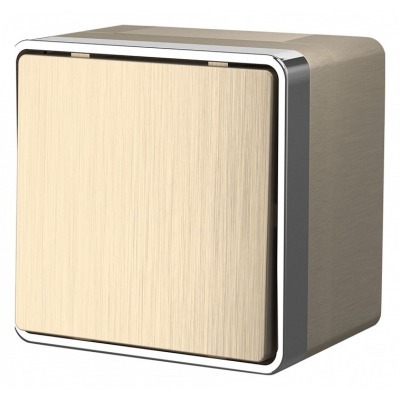 Выключатель одноклавишный влагозащищенный Werkel Gallant (шампань рифленый) W5010210 WRK_a051040