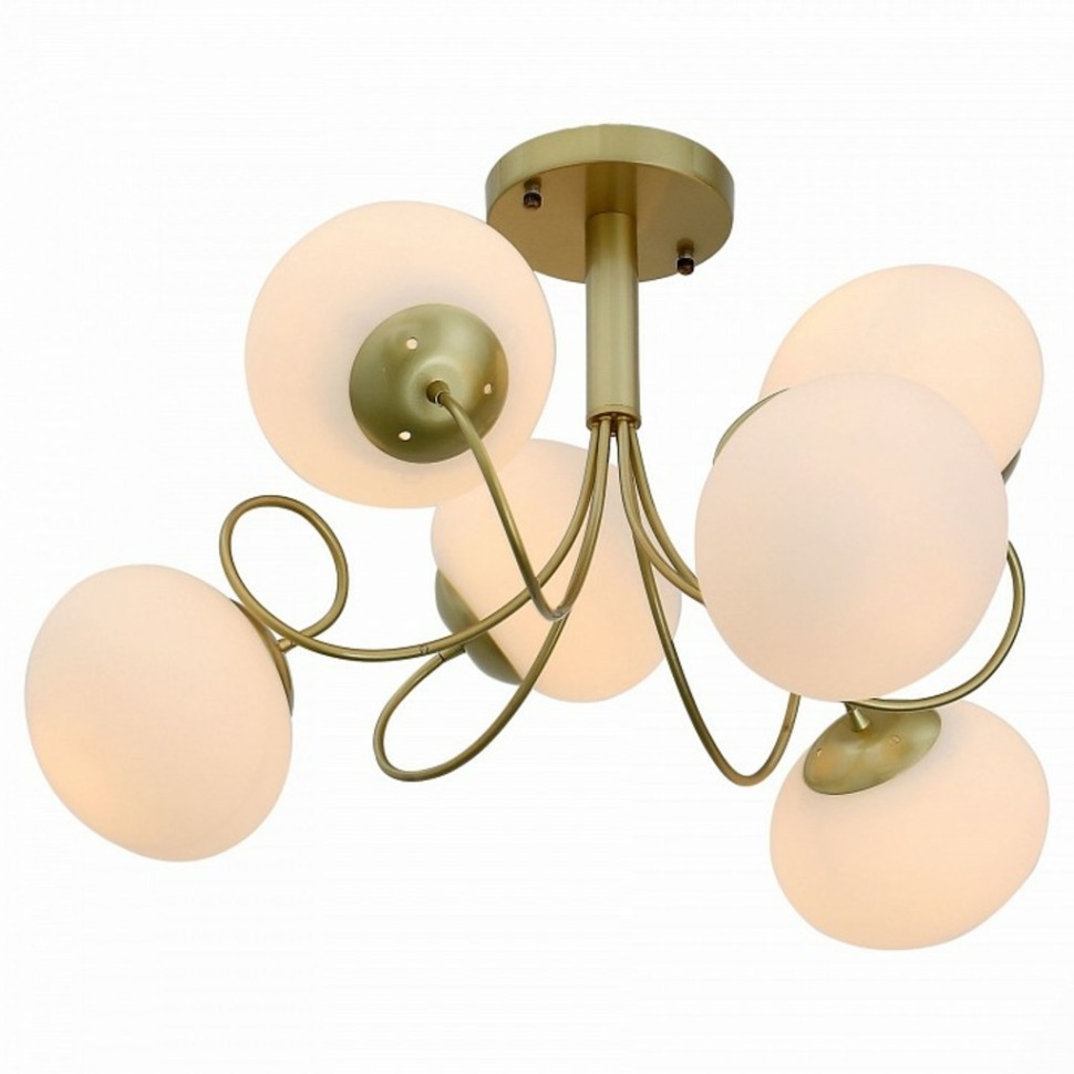 Фото Люстра на штанге EVOLUCE Acini SL717.202.06 - интернет-магазин МегаТерем в Москве