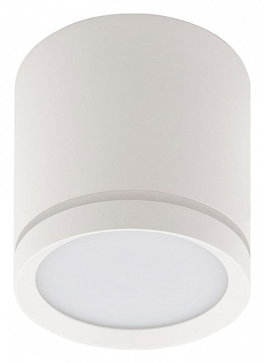 Фото Накладной светильник Denkirs DK401 DK4013-WH DK_DK4013-WH - интернет-магазин МегаТерем в Москве