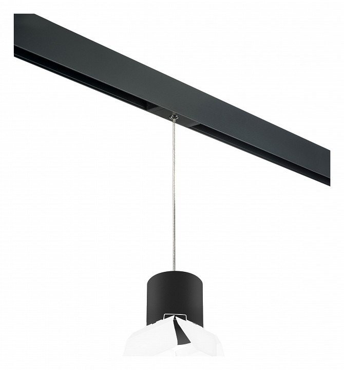 Фото Подвесной светильник Lightstar Rullo PRORP3487486 LS_PRORP3487486 - интернет-магазин МегаТерем в Москве