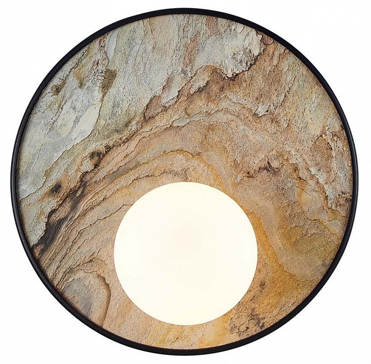 Фото Накладной светильник Favourite Messier 4594-1W FV_4594-1W - интернет-магазин МегаТерем в Москве