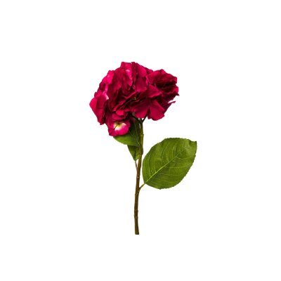 Гортензия алая 62см (12) (T...