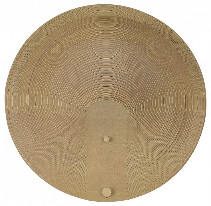 Фото Накладной светильник ST-Luce Fossil SL6900.501.16 - интернет-магазин МегаТерем в Москве