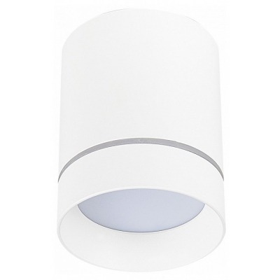 Накладной светильник ST-Luce ST115 ST115.542.07